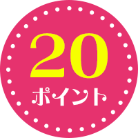 20ポイント